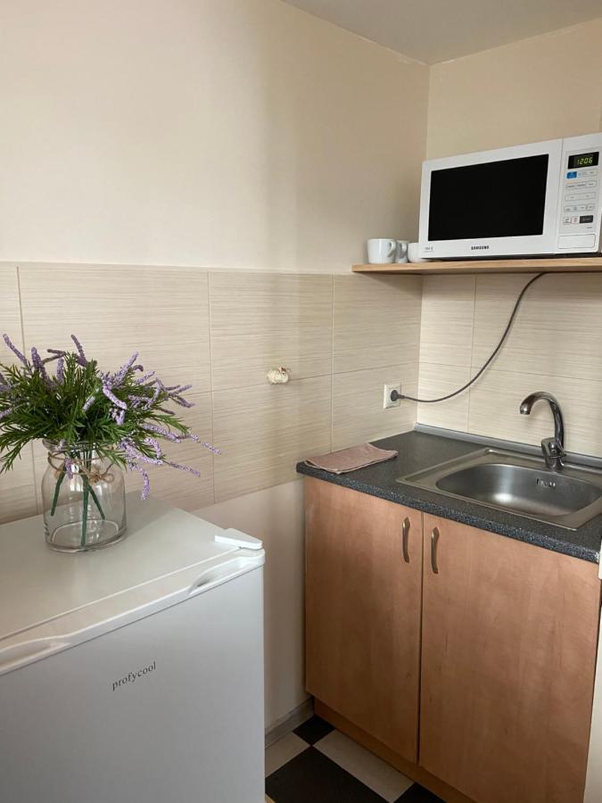 Family Apartment Leopoli Esterno foto